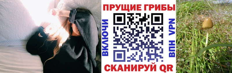 наркошоп Рассказово Псилоцибиновые грибы ЛСД